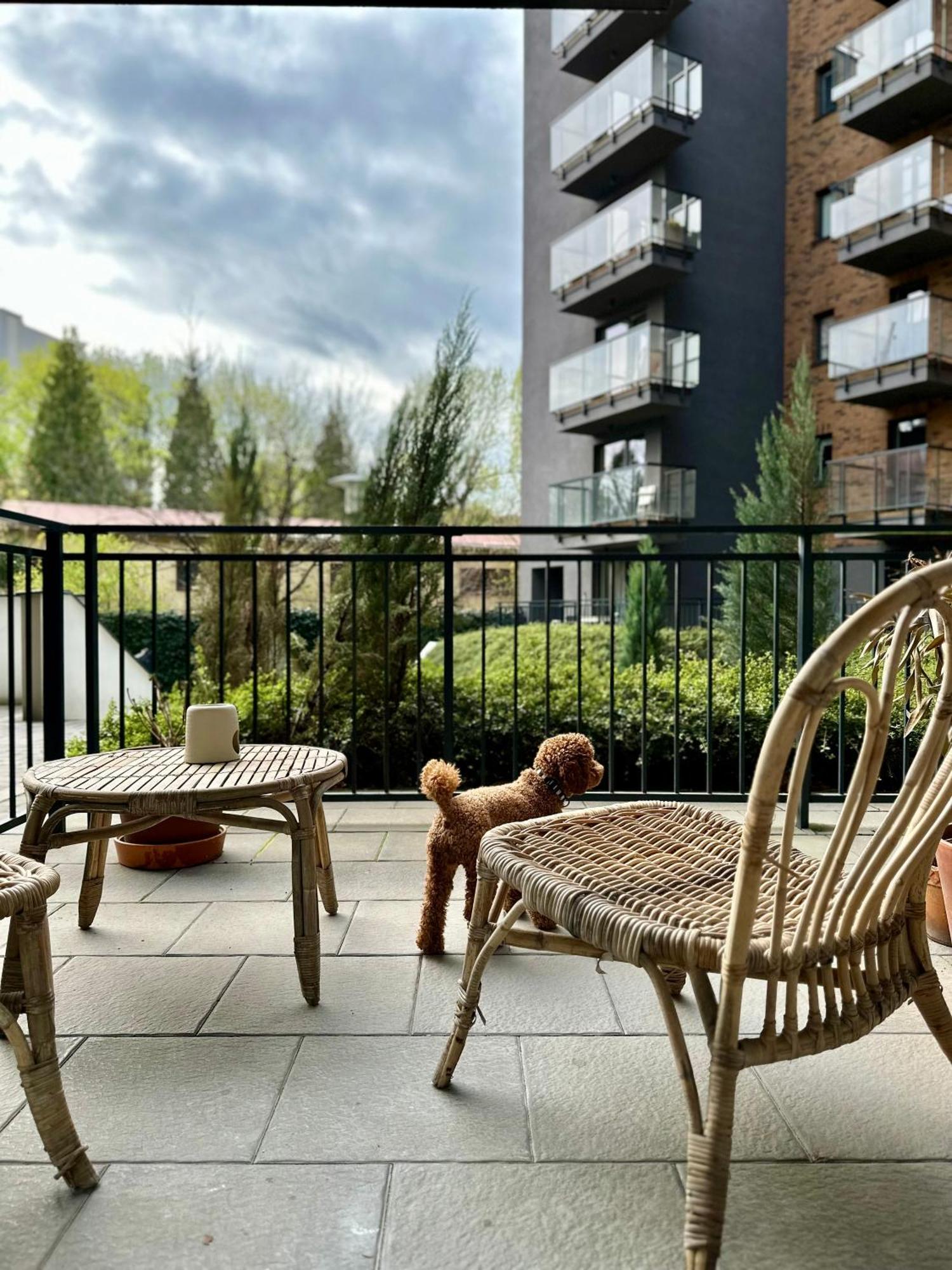Pure Apartment N°1 Wrocław Exterior foto